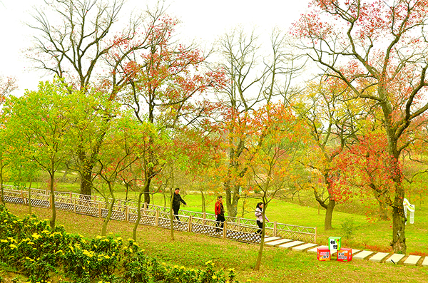 游客正在红叶景区赏红叶(4472442)-20241105093318.jpg